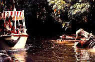 Bootsfahrt im Dschungel