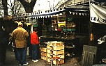 Vogelmarkt